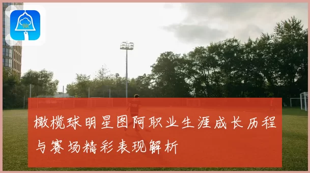 橄榄球明星图阿职业生涯成长历程与赛场精彩表现解析