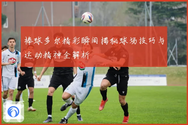 棒球多尔精彩瞬间揭秘球场技巧与运动精神全解析
