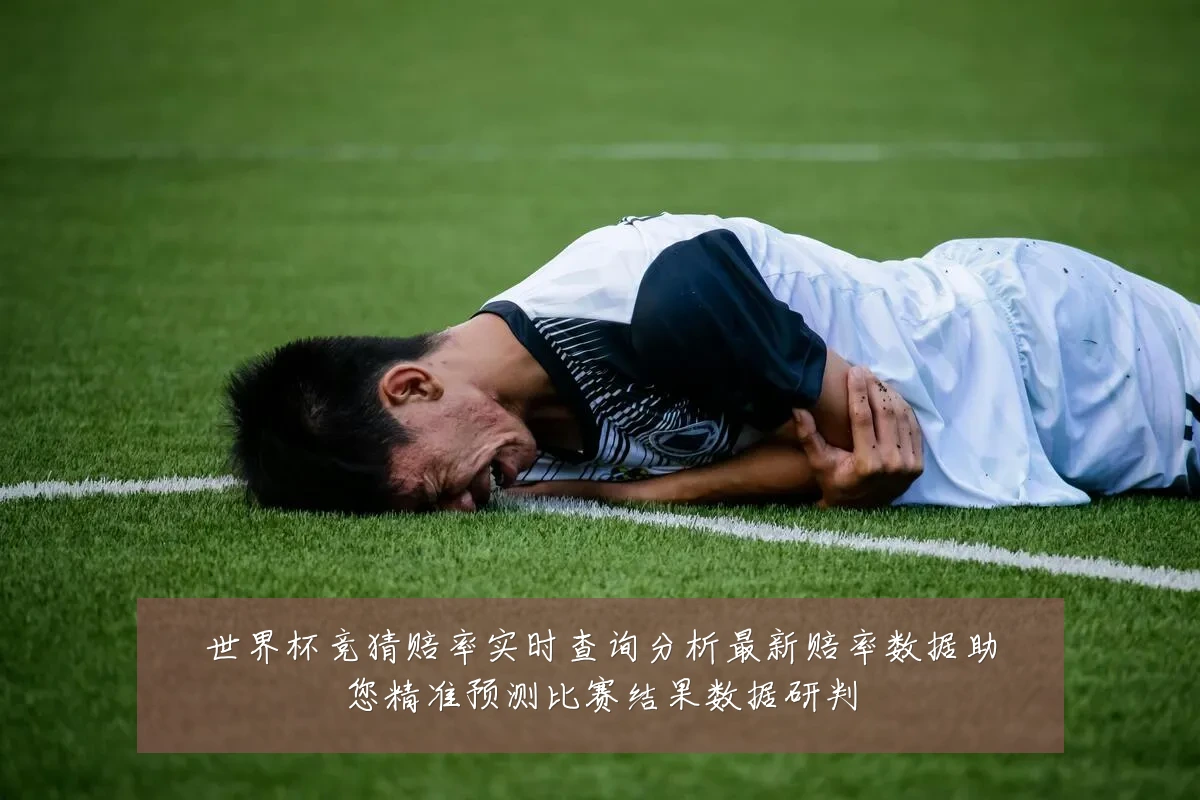 世界杯竞猜赔率实时查询分析最新赔率数据助您精准预测比赛结果数据研判